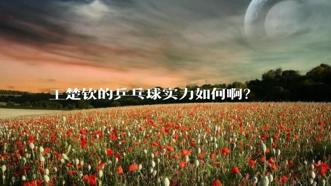 王楚钦的乒乓球实力如何啊？