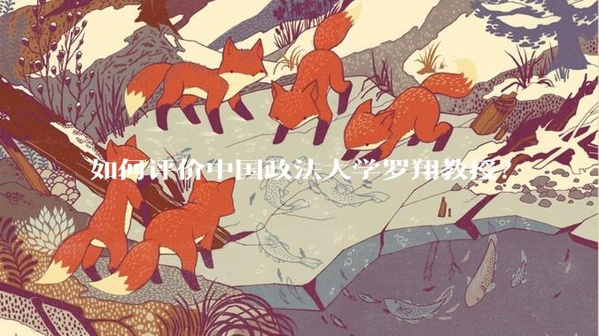 如何评价中国政法大学罗翔教授？