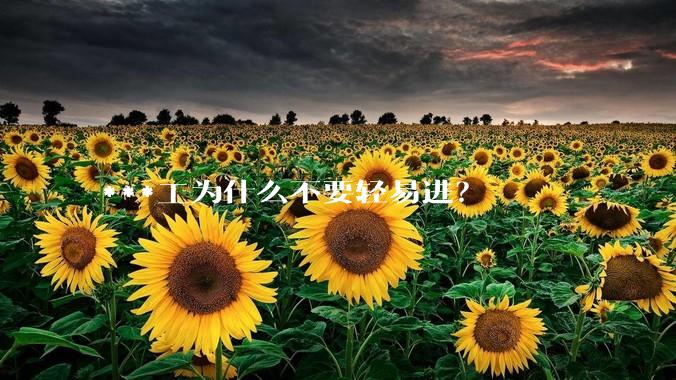***工为什么不要轻易进？