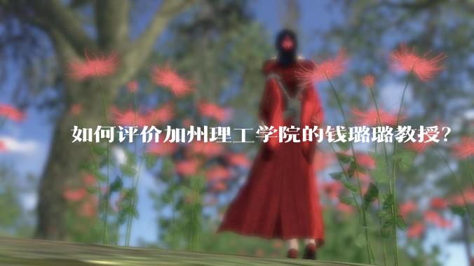 如何评价加州理工学院的钱璐璐教授？