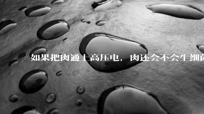 如果把肉通上高压电，肉还会不会生细菌腐败？