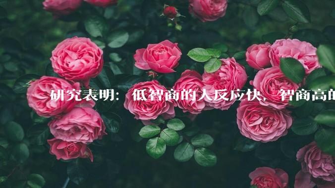研究表明：低智商的人反应快，智商高的人往往反应更慢。为啥？