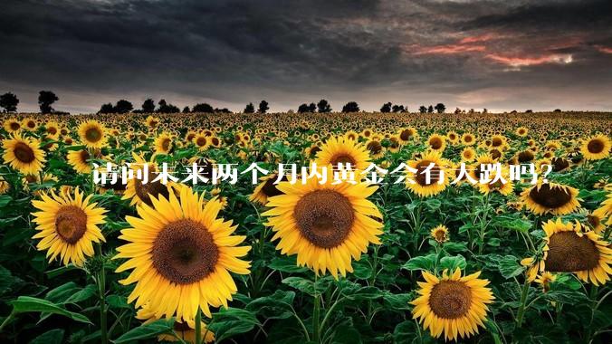 请问未来两个月内黄金会有大跌吗？