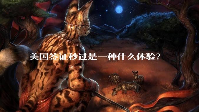 美国签证秒过是一种什么体验？