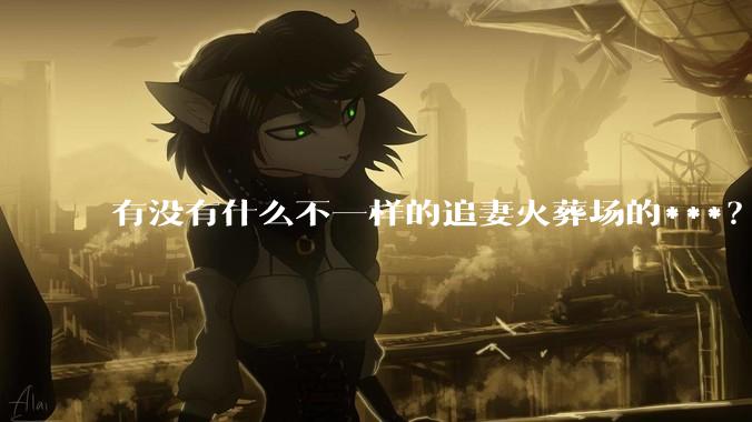 有没有什么不一样的追妻火葬场的***？