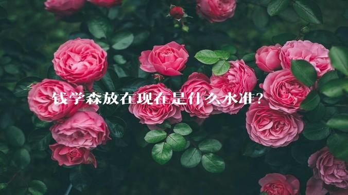 钱学森放在现在是什么水准？