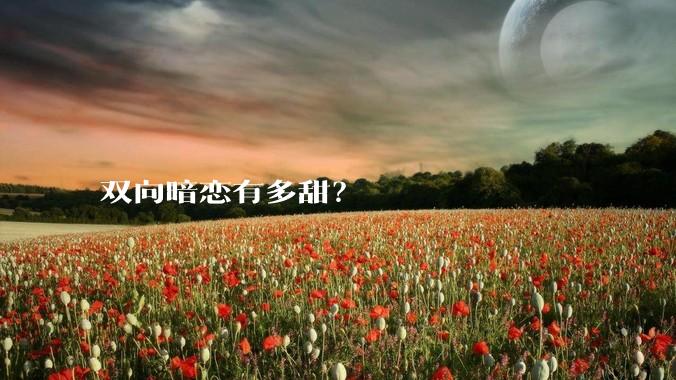 双向暗恋有多甜？