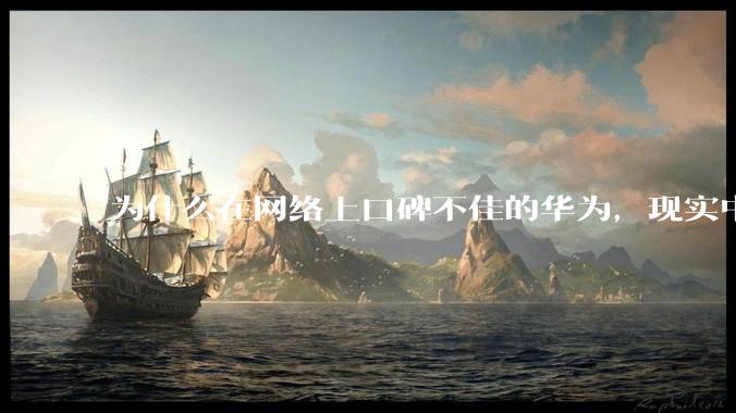为什么在网络上口碑不佳的华为，现实中的销量却相当好？