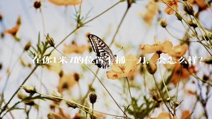 在你1米7的位置上捅一刀，会怎么样？